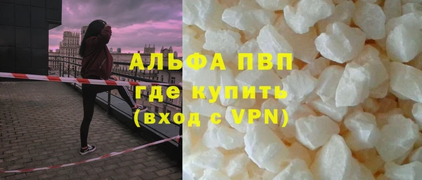 прущие грибы Богородск