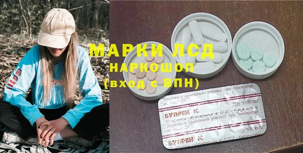 прущие грибы Богородск