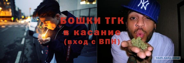 прущие грибы Богородск