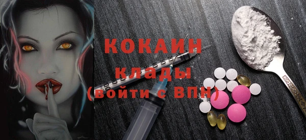 винт Богданович