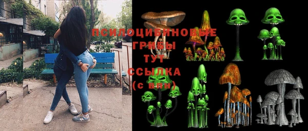 гашиш Богородицк