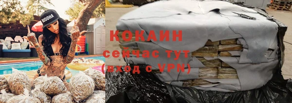 прущие грибы Богородск