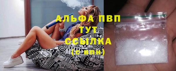 прущие грибы Богородск
