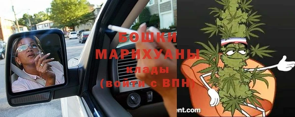 винт Богданович