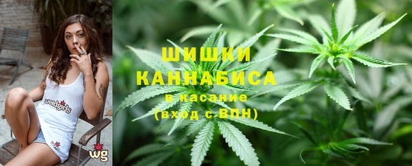 винт Богданович