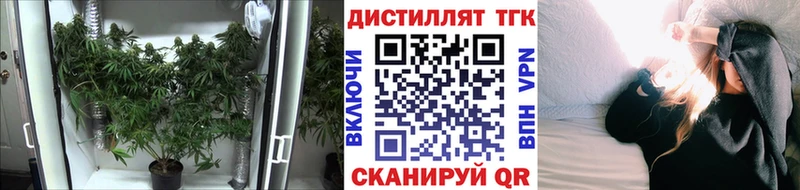 ТГК Wax  darknet телеграм  Галич 