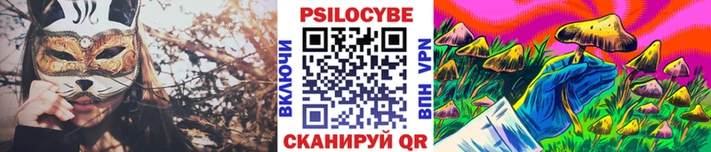 Галлюциногенные грибы Cubensis  где найти   Галич 